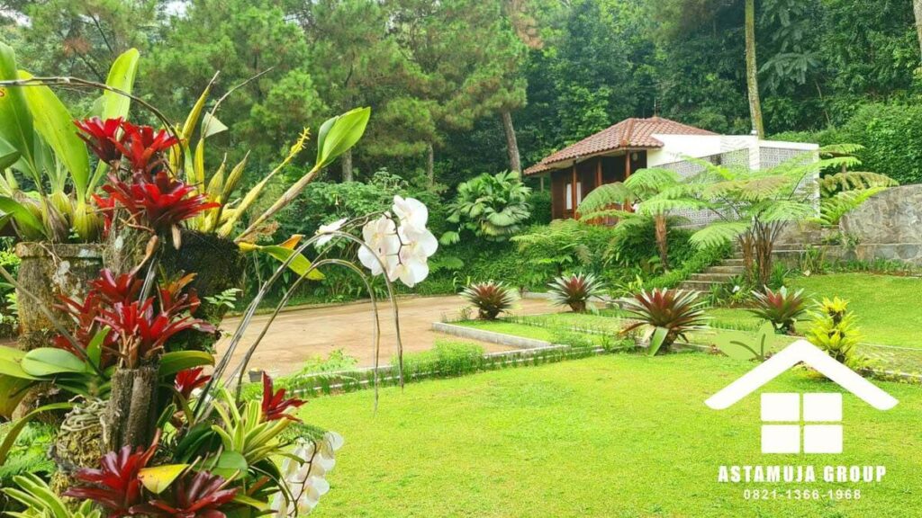 Halaman samping villa