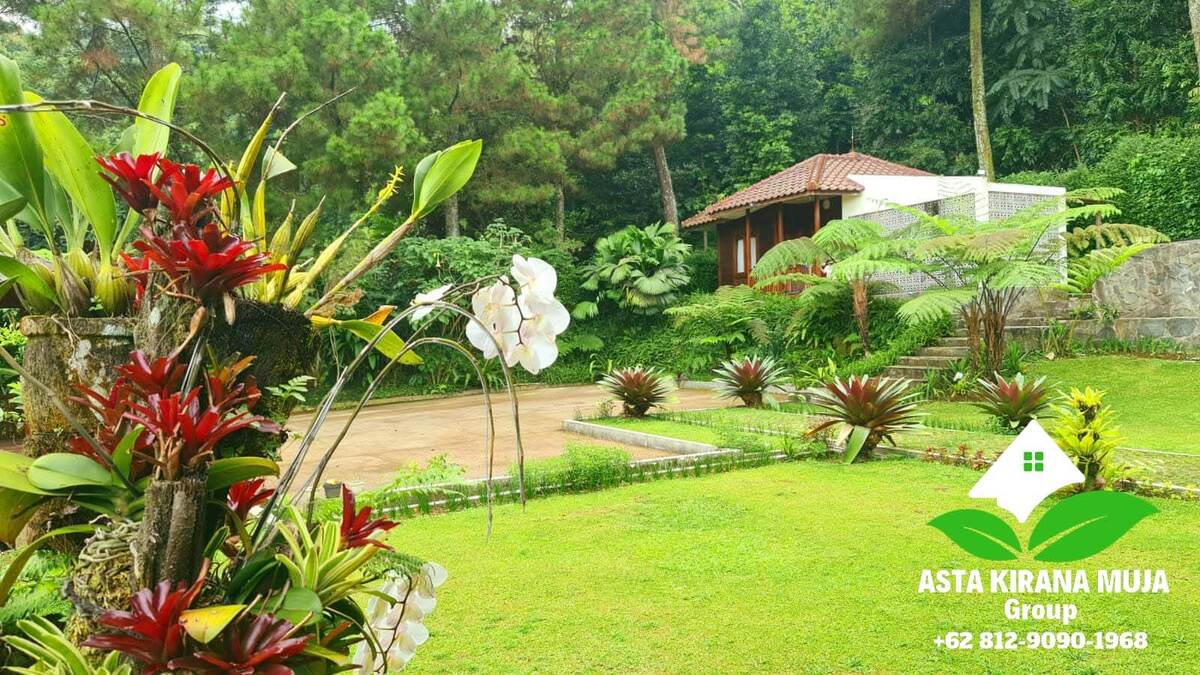 Halaman Samping Villa Asta